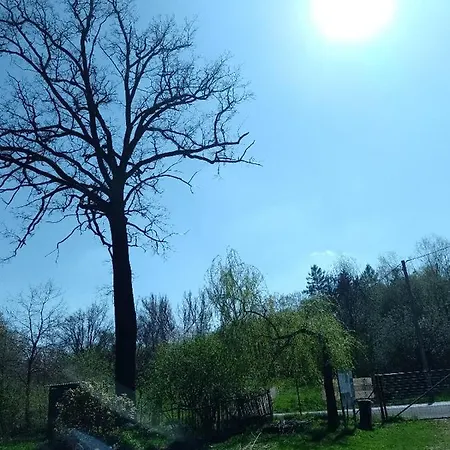 Litohlavy 17 - Na Samotě U Lesa Králŭv Dvŭr